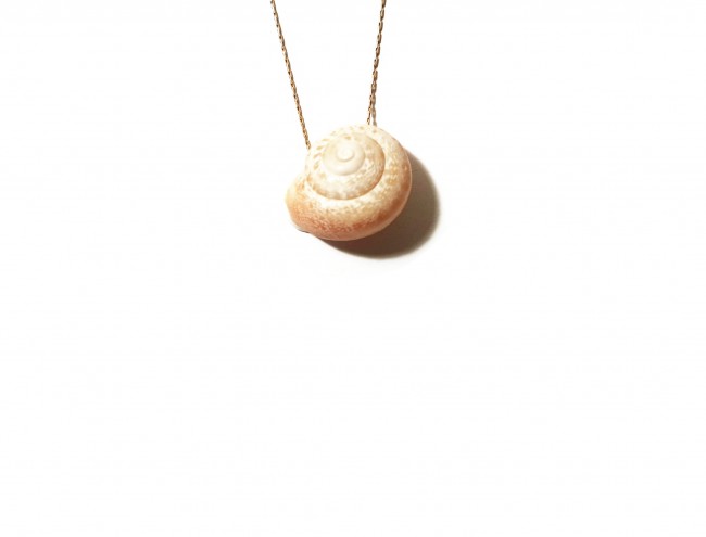 big moon shell 14K gold necklace