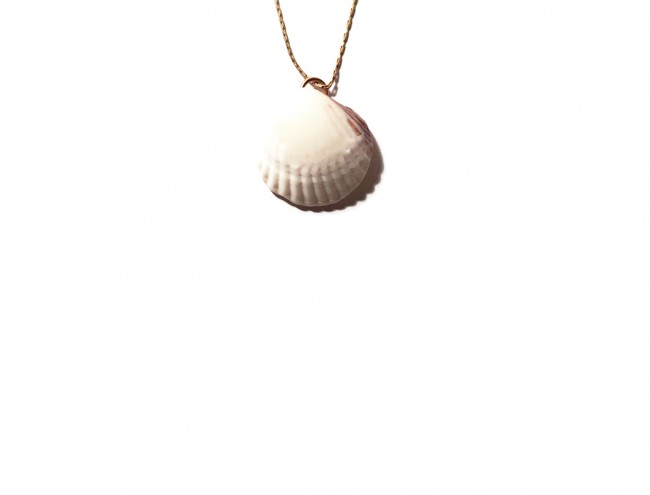 clam shell 14K gold necklace