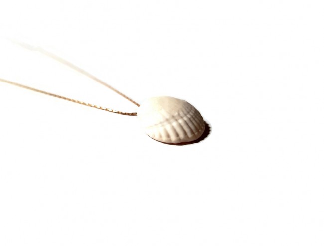 clam shell 14K gold necklace