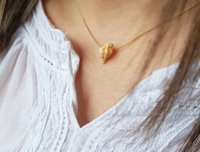 little screw shell 14K gold necklace