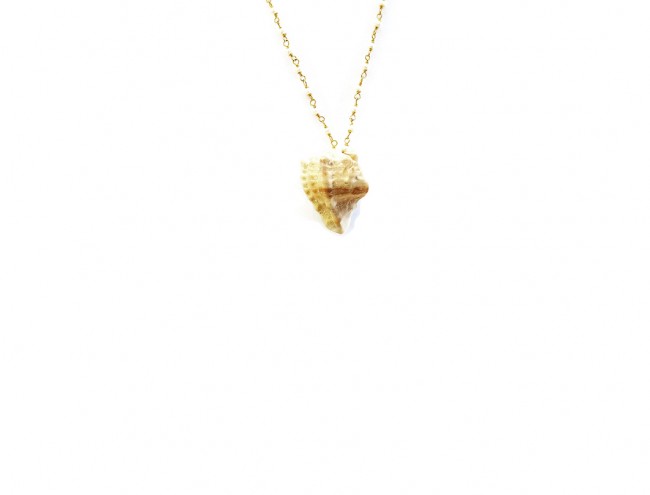 little screw shell rozario pearls 14K gold necklace