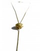 button gold plated chain necklace